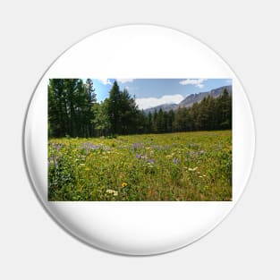 Glacier National Park Wild Flowers3 Pin