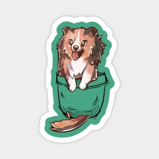 Pocket Cute Sheltie Dog Magnet