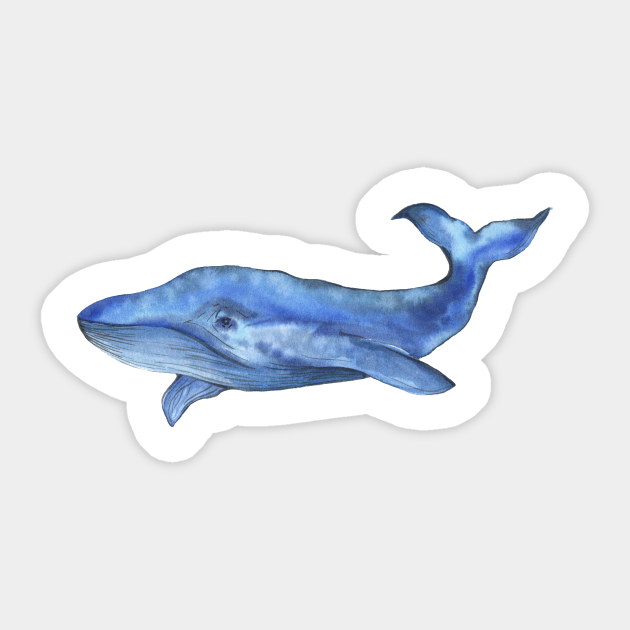 watercolor whale - Whales - Sticker