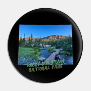 Colorado State Outline (Rocky Mountain National Park) Pin