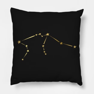 Astrology Constellation Zodiac Star Sign Aquarius Pillow