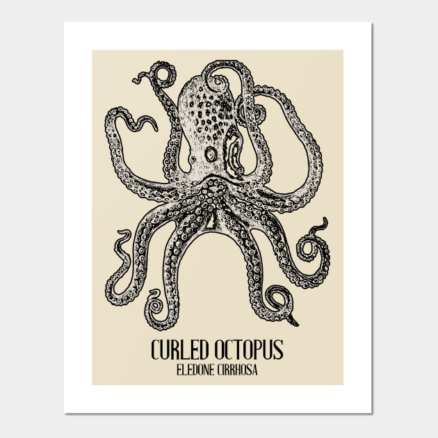 Vintage Octopus Ocean Animal Shirt - Octopus - Posters and Art Prints | TeePublic Vintage Octopus Ocean Animal Shirt - Octopus - Posters and Art Prints | TeePublic