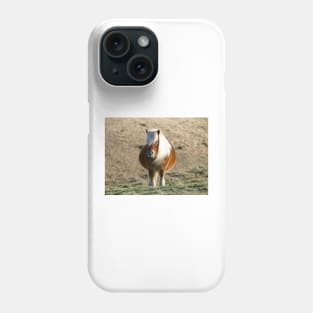 Dartmoor Pony Phone Case