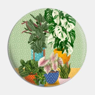 Colourful House Plants 1 Pin