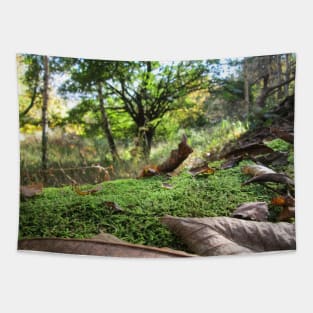 Fallen Tree Covered in Autumn Moss and Leaves Tapestry