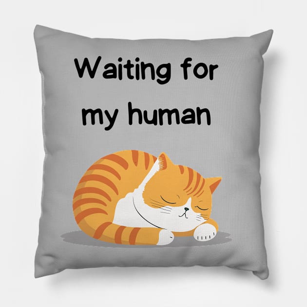 Sleeping Affirmation Cat Waiting for my human | Cat Lover Gift | Law of Attraction | Positive Affirmation | Self Love Pillow by JGodvliet