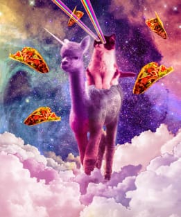 Cosmic Cat Riding Alpaca Unicorn Magnet