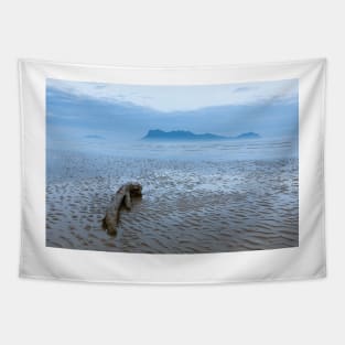 Dawn at beach in Bako national park Borneo Malaysia Tapestry
