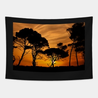 "African" sunset @ Kaiafas beach Tapestry