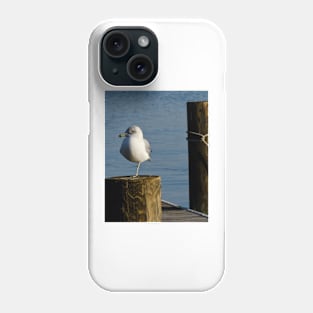 Wary Gull Phone Case