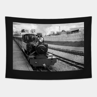 Steam train at the station on the Bure Valley railway line Tapestry