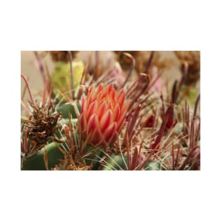 Closeup of Red Cactus Blossom T-Shirt