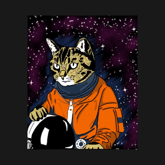 cat space by akbstr