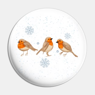 Winter Robins Pin