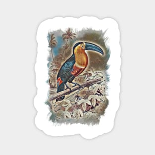 Toucan Beautiful Bird Jungle Forest Illustration Magnet