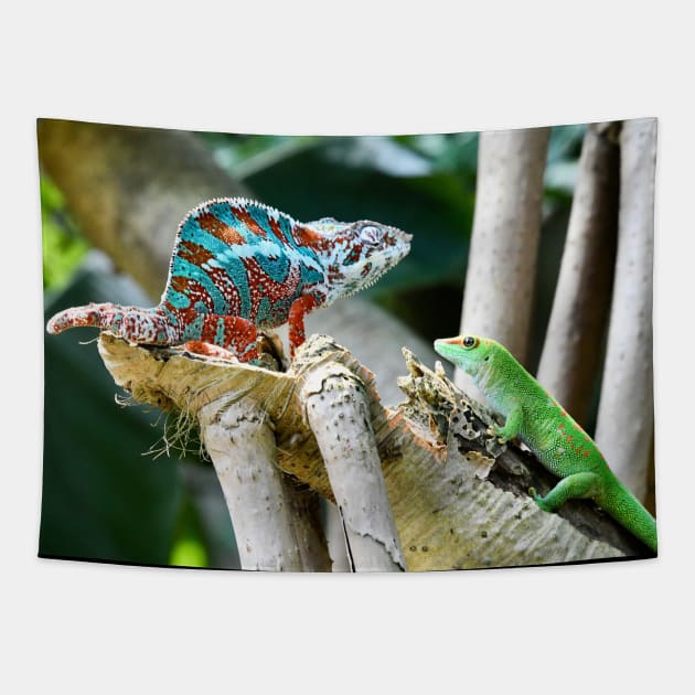 chameleon Tapestry by RaphaelWolf