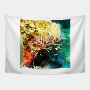 Arrow Crab on Coral Reef Tapestry