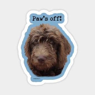 Doodle Dog Owner Magnet