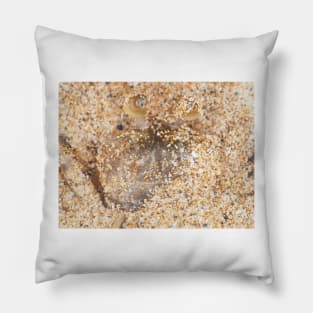 Small crab hiding in sand on Maui, Hawaii Pillow