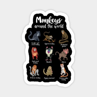 Many species of monkeys - types of monkeys Magnet