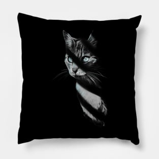 Cat in the Shadow Pillow