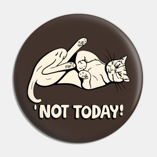 Not today Pin