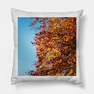 Autumn leaves Pillow