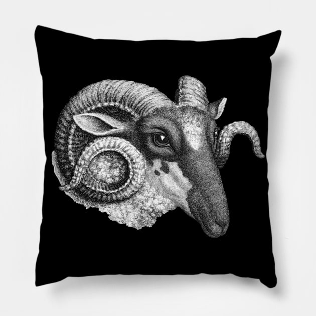 Profile of a Ram Pillow by PDTees