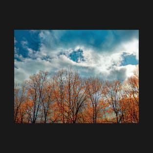 Beautiful golden trees against a blue sky T-Shirt