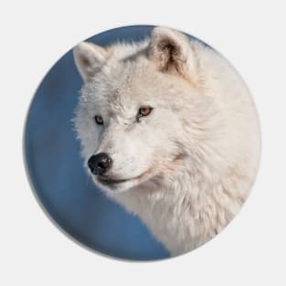 Arctic Wolf Pin