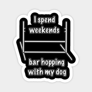 Dog agility - I spend my weekends bar hopping with my dog Magnet