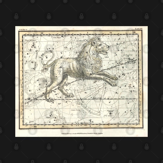 Leo Constellation - Celestial Atlas Alexander Jamieson by forgottenbeauty