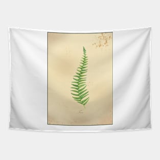 Fern, botanical watercolor painting Tapestry