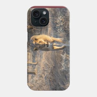 Namibia. Etosha National Park. Lioness. Phone Case