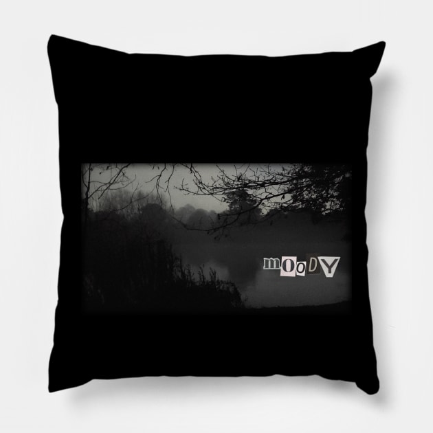 Moody Pillow by Wild Thinks