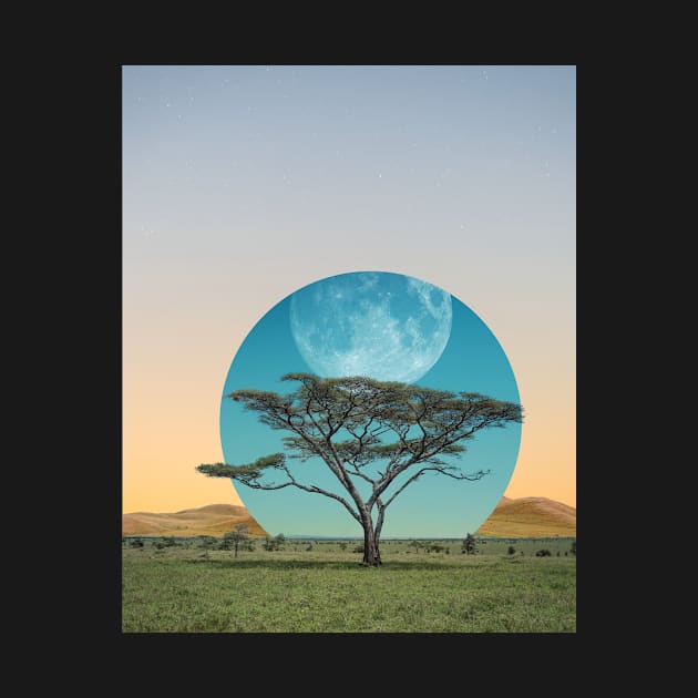 Moon Tree by Aaron the Humble