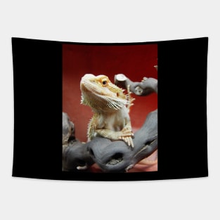 Bearded Dragon Tapestry