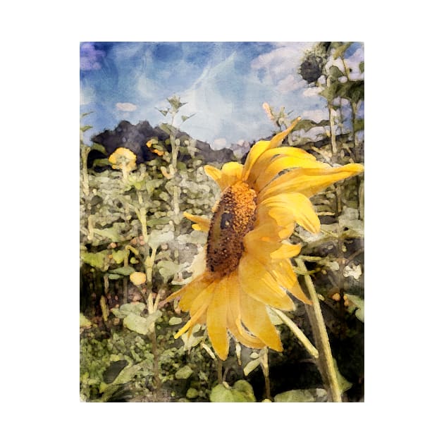 Watercolor Sunflower on a Sunny Blue Sky Day by Compassandbliss