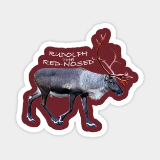 Rudolph the red-nosed Magnet