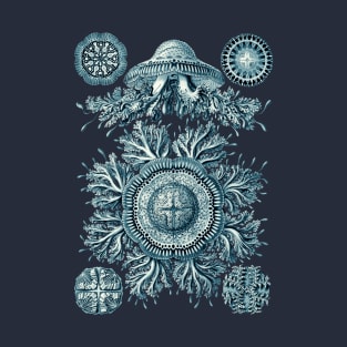 Ernst Haeckel Discomedusae Jellyfish Plate 28 Cerulean T-Shirt