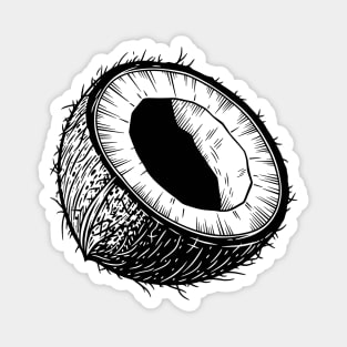 Coconut Magnet