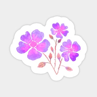 Wild Roses in Purple Magnet