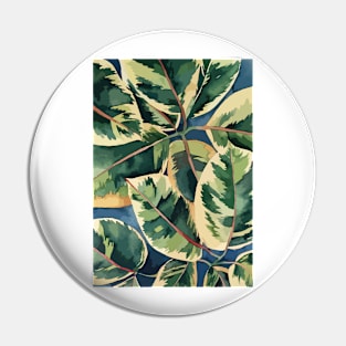 Ficus Leaves Illustration Pin