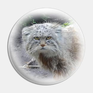 Manul-pallas's cat Pin