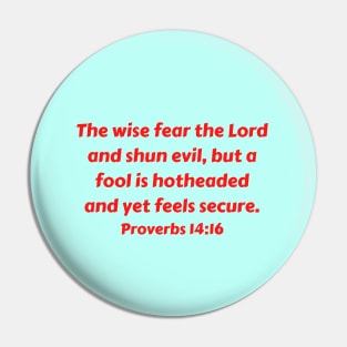 Bible Verse Proverbs 14:16 Pin