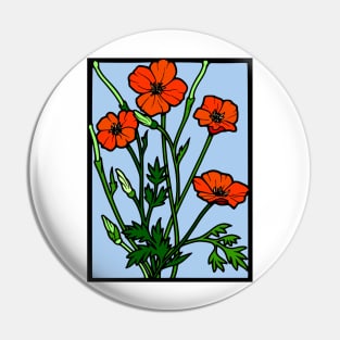 Papaver rhoeas Common poppy Pin