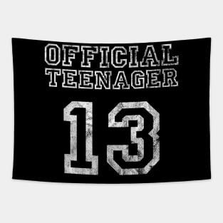 Birthday Official Teenager  13 Years old Girl Tapestry