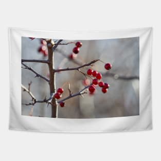 Ripe hawthorn berries Tapestry