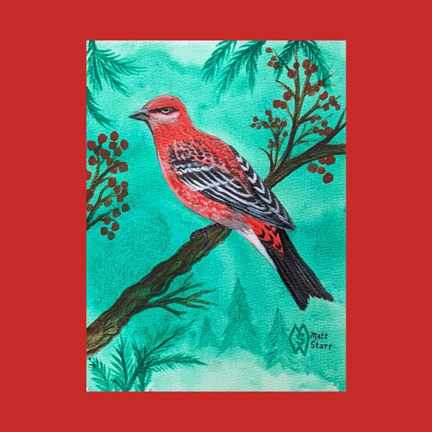 Pine grosbeak in the evergreen forest by Matt Starr Fine Art