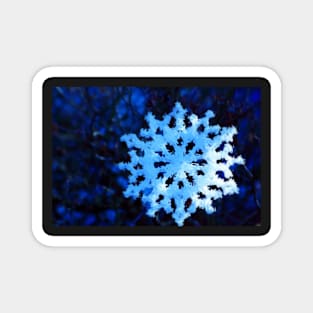 snowflake in blue 5 Magnet